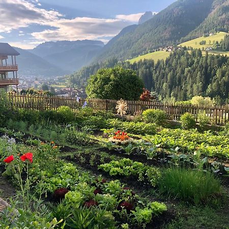 Sule Hof Agriturismo オルティゼーイ エクステリア 写真