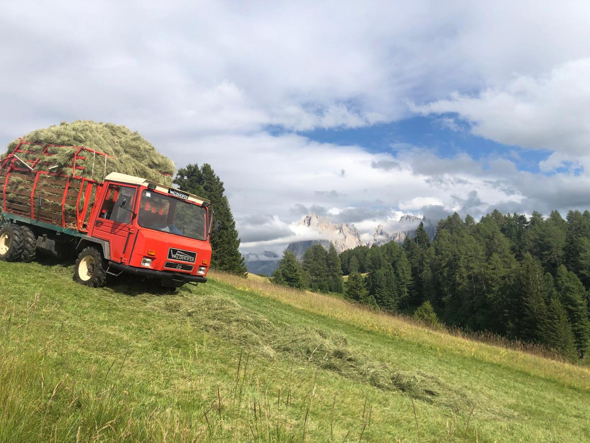 Sule Hof Agriturismo オルティゼーイ エクステリア 写真