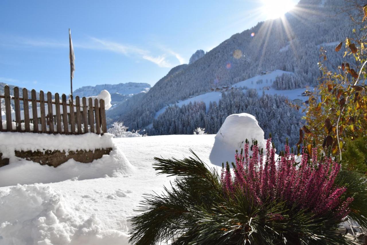 Sule Hof Agriturismo オルティゼーイ エクステリア 写真